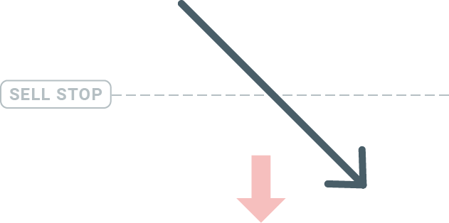 How to Trade at Exness for Beginners How to Trade at Exness for Beginners
