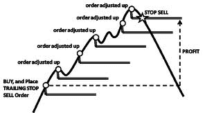 How to Trade at Exness for Beginners How to Trade at Exness for Beginners
